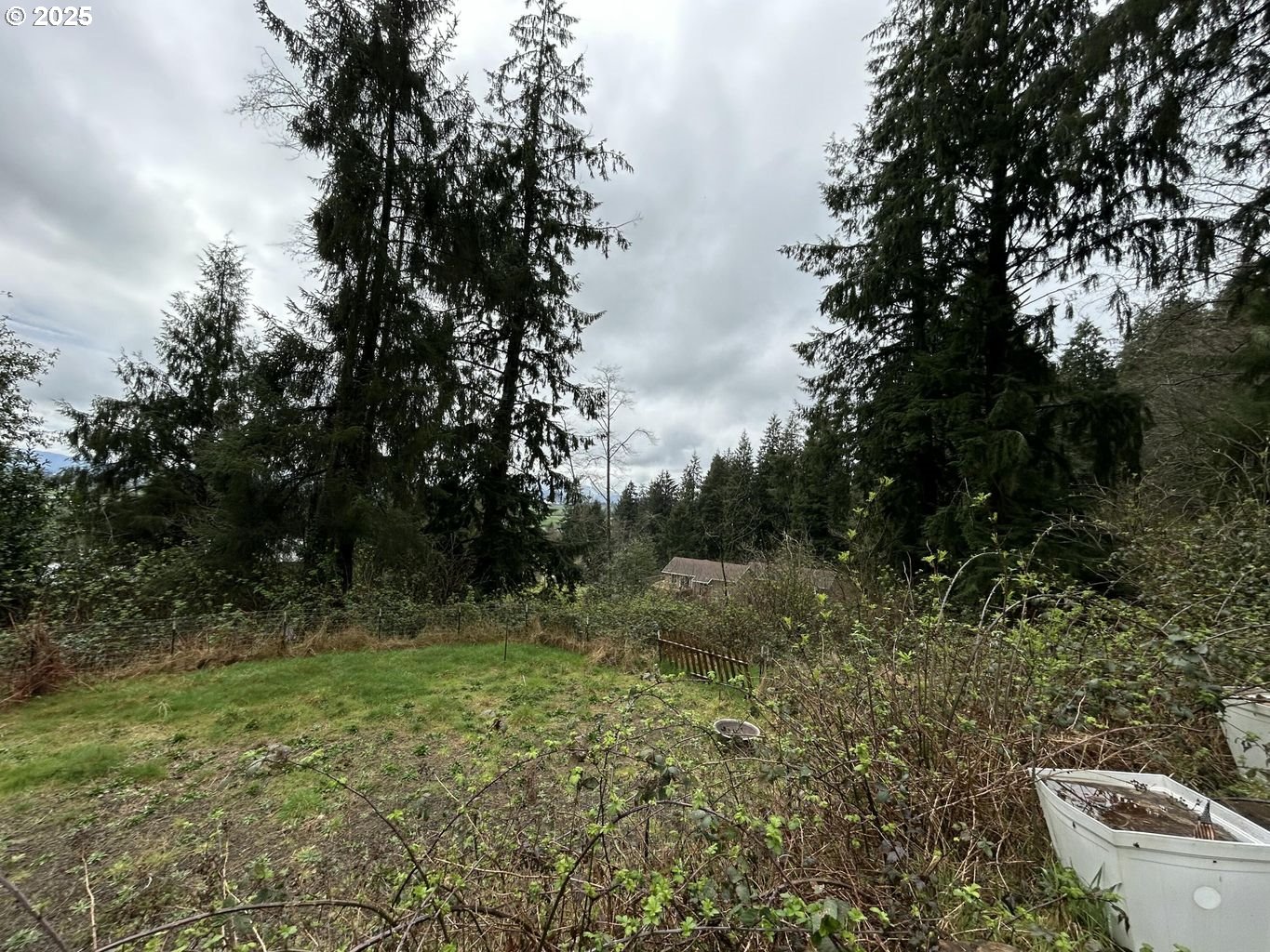 Aldercrest Road Tillamook, OR 97141 - Photo 8 of 13 Gallery Image 8
