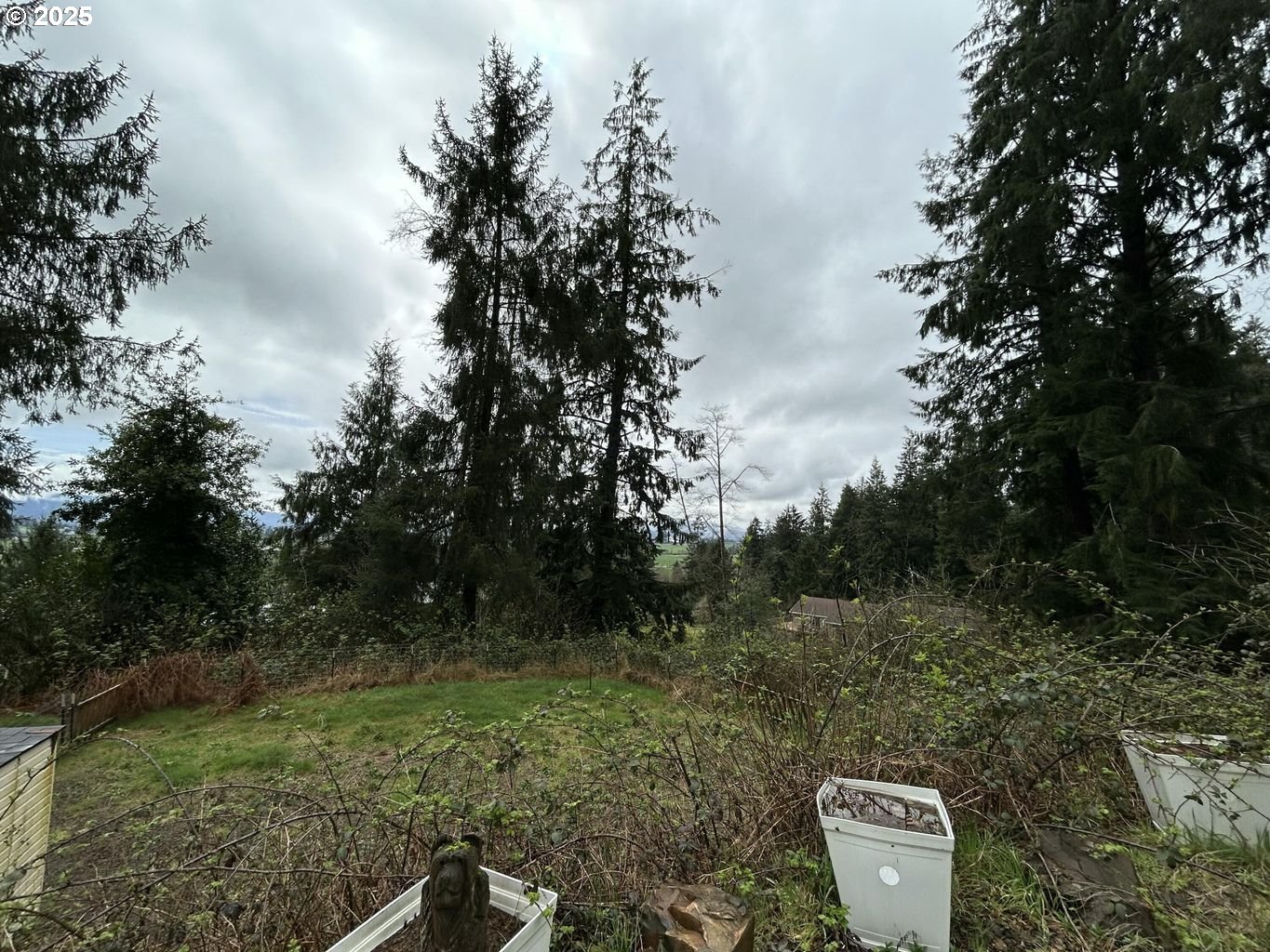 Aldercrest Road Tillamook, OR 97141 - Photo 10 of 13 Gallery Image 10