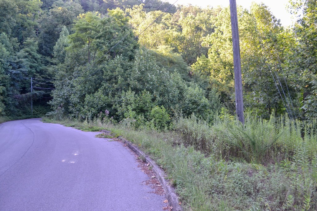 0 Bluff Ridge Road Sevierville, TN 37876 - Photo 9 of 15