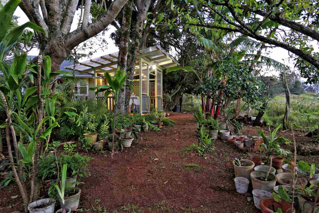 2736 Kaupakalua Road Haiku, HI 96708 - Photo 22 of 30