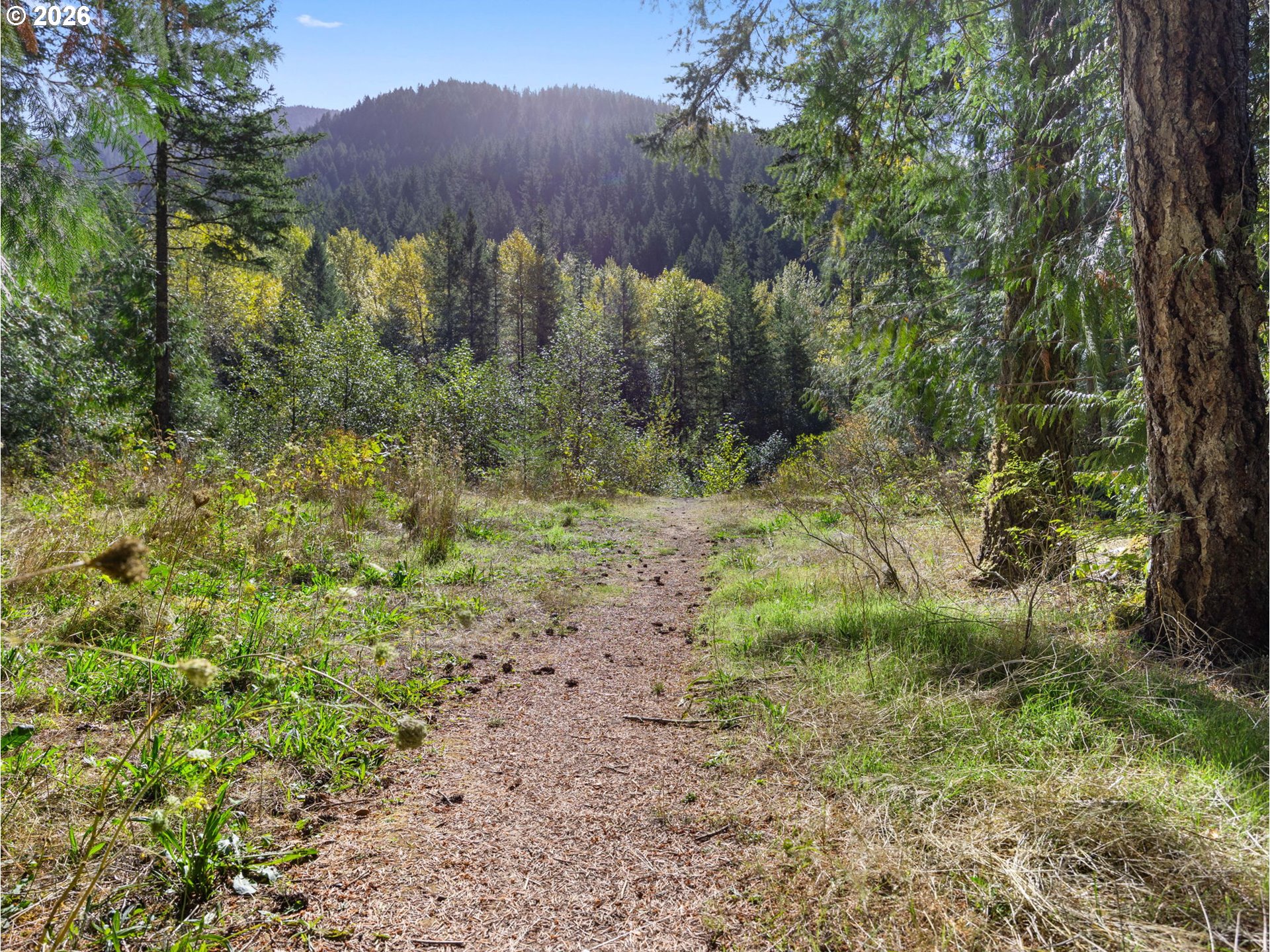 21220 East Crater Court Rhododendron, OR 97049 - Photo 45 of 48