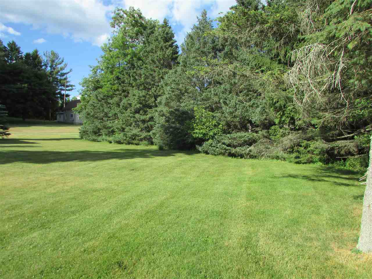 160 North 3rd Street Blanchard, MI 49310 - Photo 48 of 49 1819646-47.JPG