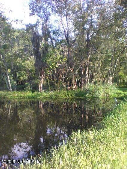 3027 Walter Road Jacksonville, FL 32254 - Photo 4 of 31 Pond