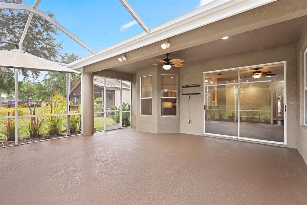 5656 Rockfield Loop Valrico, FL 33596 - Photo 24 of 35