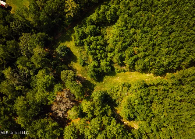 $1,285,000 | 4170 Highway 13, Morton, MS 39117