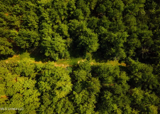 $1,285,000 | 4170 Highway 13, Morton, MS 39117