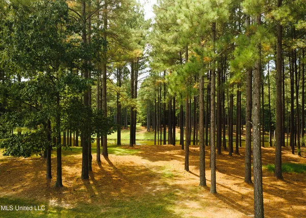 $1,285,000 | 4170 Highway 13, Morton, MS 39117