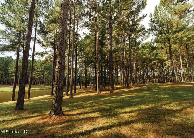 $1,285,000 | 4170 Highway 13, Morton, MS 39117