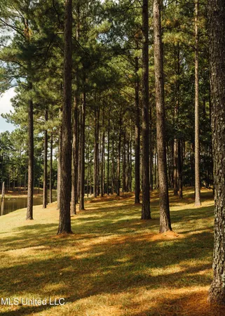 $1,285,000 | 4170 Highway 13, Morton, MS 39117