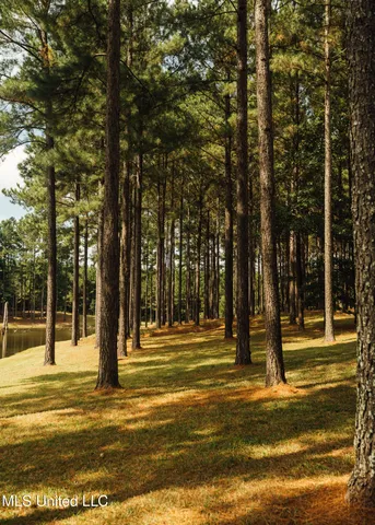 $1,285,000 | 4170 Highway 13, Morton, MS 39117