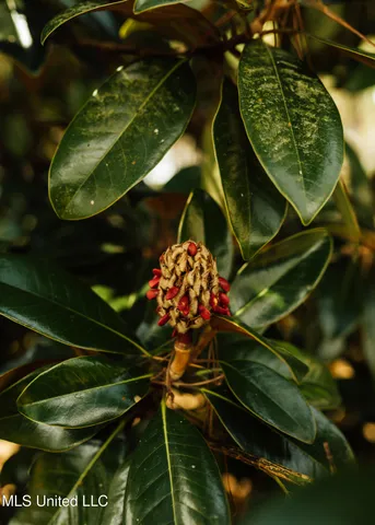 $1,285,000 | 4170 Highway 13, Morton, MS 39117