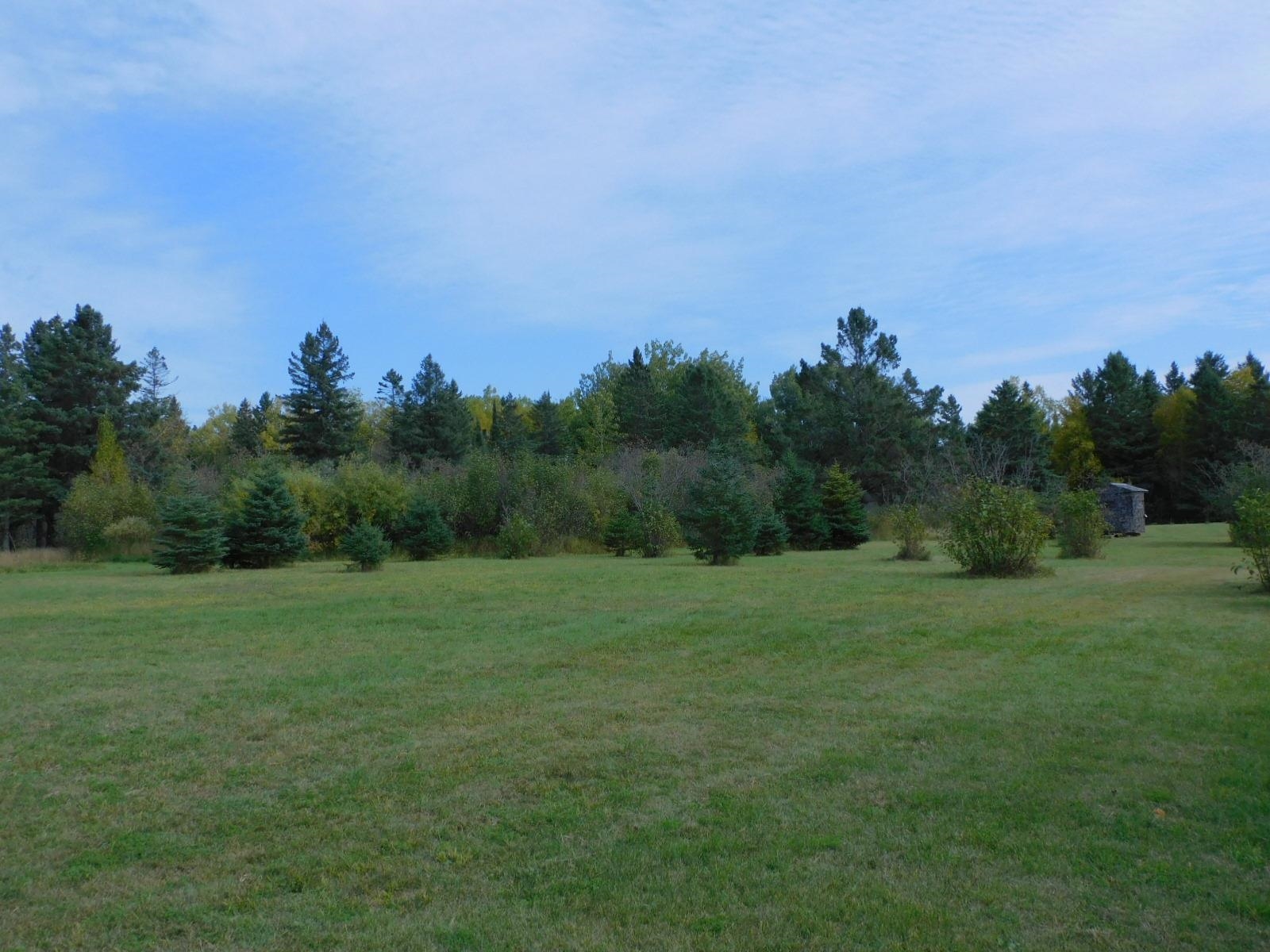 3968 County Rd U South Range, WI 54874 - Photo 13 of 35 Open land to build cabin or home