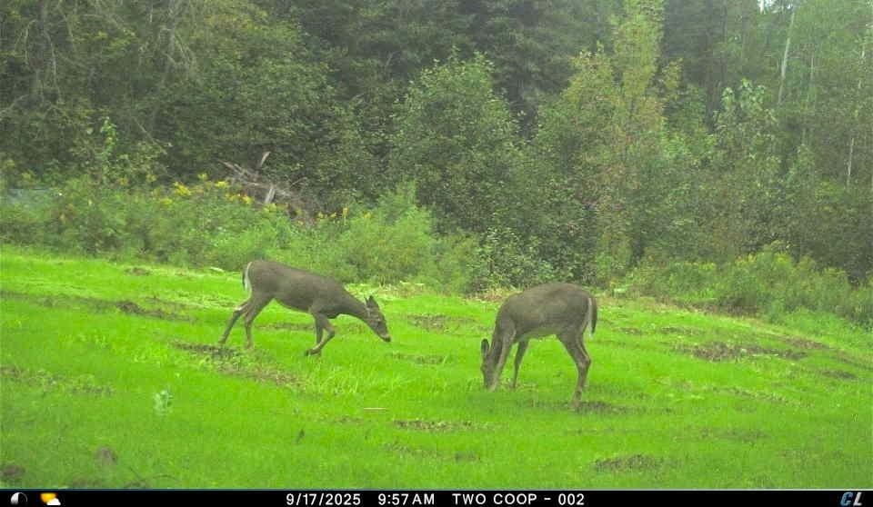 3968 County Rd U South Range, WI 54874 - Photo 22 of 35