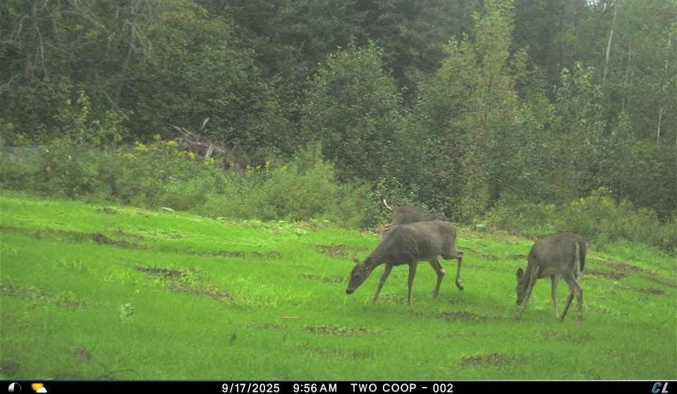 3968 County Rd U South Range, WI 54874 - Photo 23 of 35