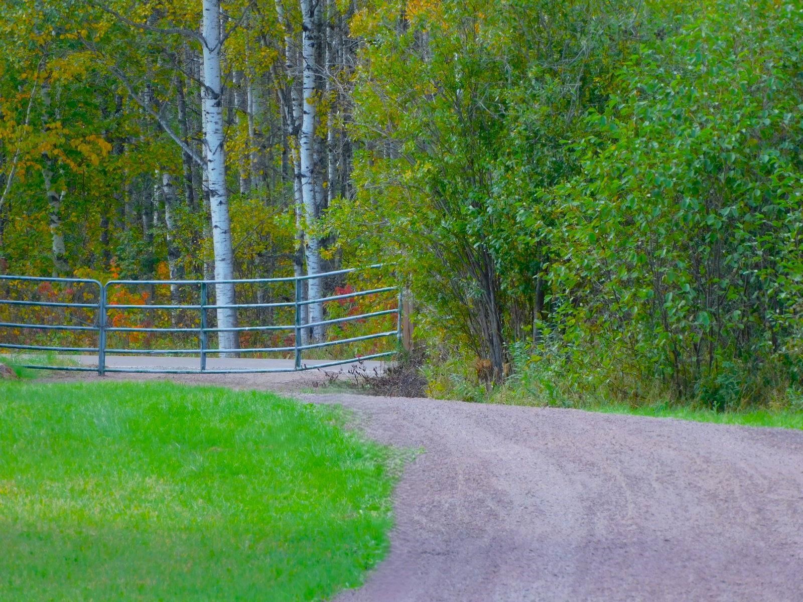 3968 County Rd U South Range, WI 54874 - Photo 30 of 35 Gate looking towards the road