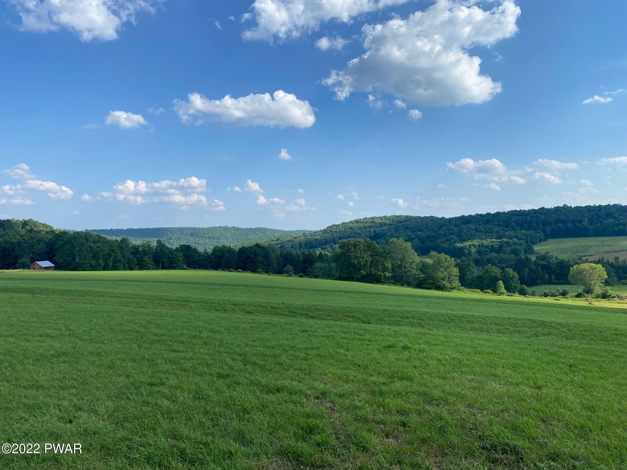 Calkins Road Milanville, PA 18443 - Photo 1 of 30