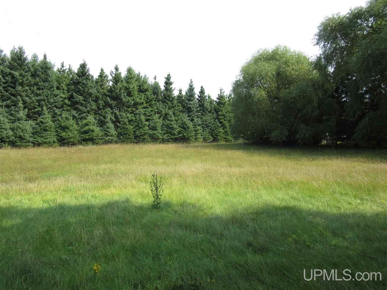 2694 River Road Gulliver, MI 49840 - Photo 2 of 24