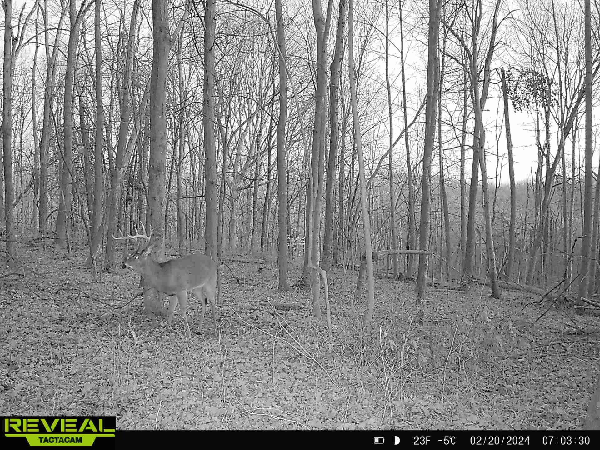 3824 Loys Run Road, Unit C28 Piketon, OH 45661 - Photo 42 of 45 IMG_2141 2