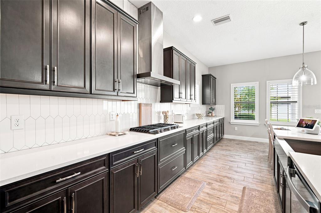 4587 Shoreleaf Loop Valrico, FL 33596 - Photo 27 of 90