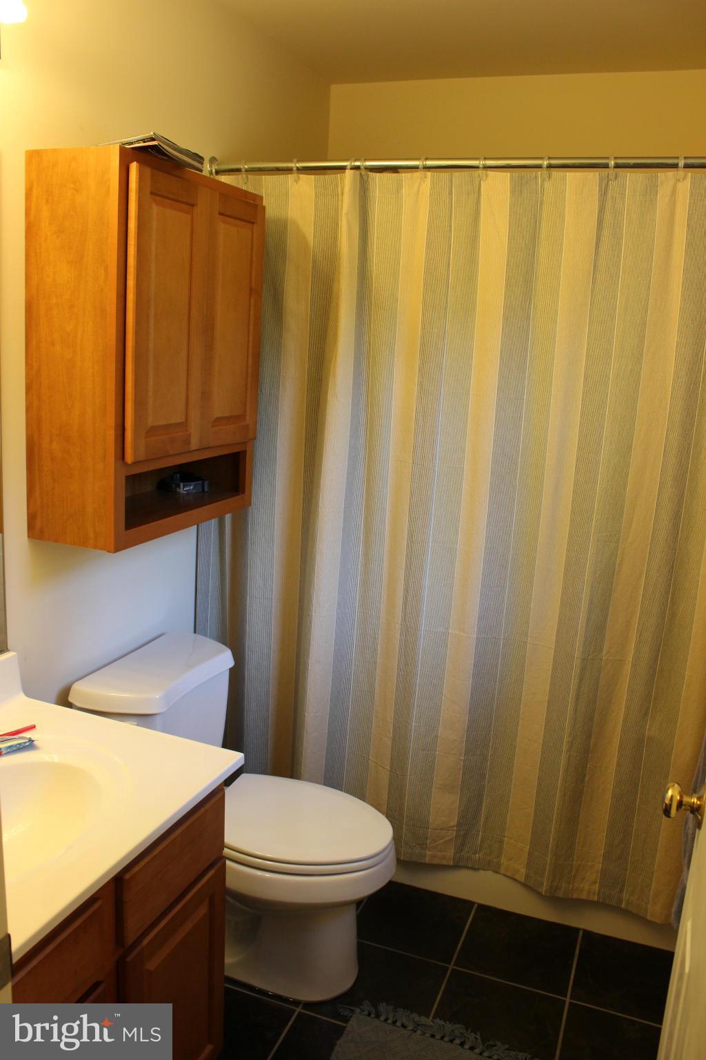 7137 Laurel Grove Road Preston, MD 21655 - Photo 21 of 22 Bath (Master)