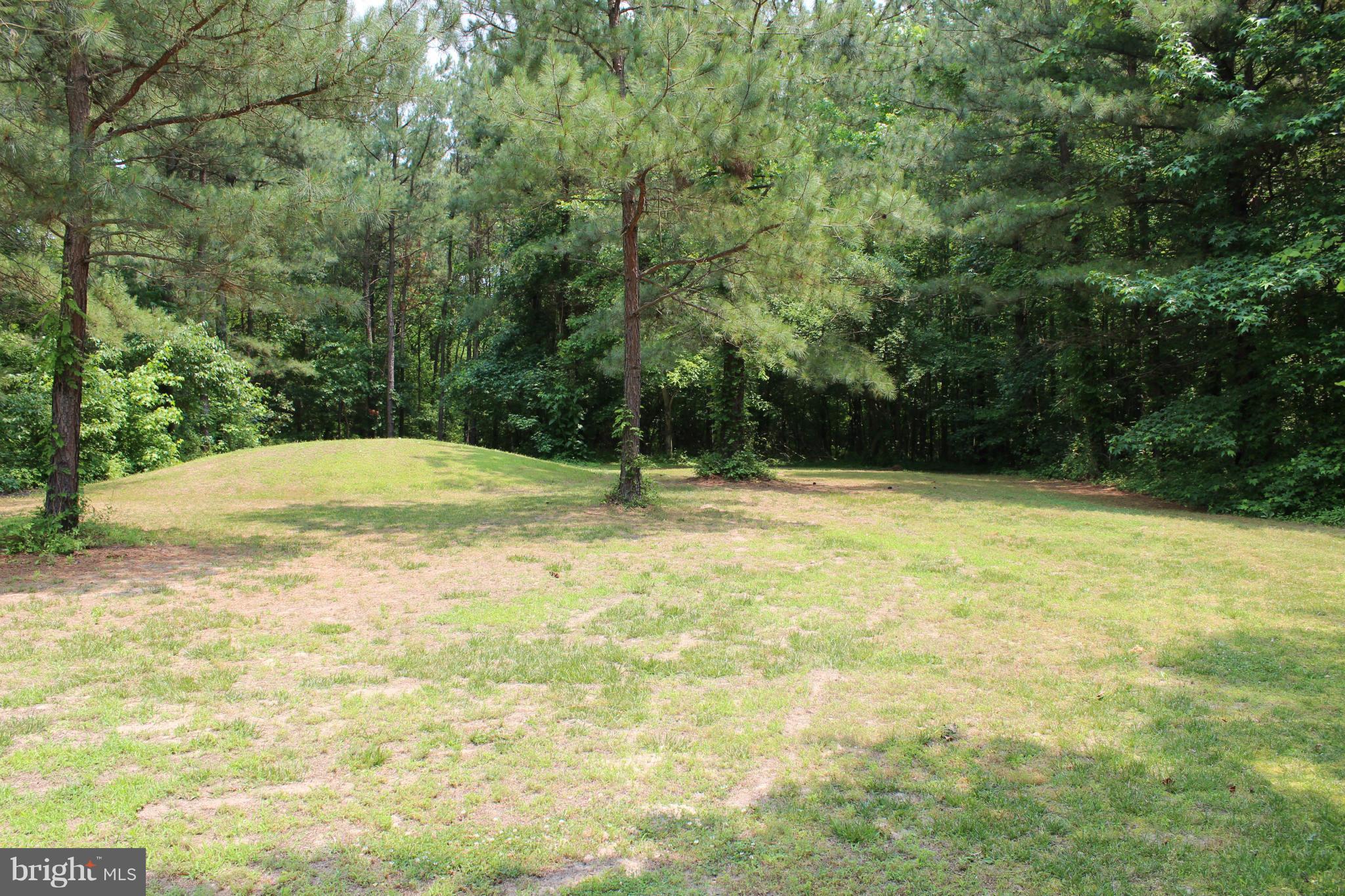 7137 Laurel Grove Road Preston, MD 21655 - Photo 22 of 22 Exterior (Rear)