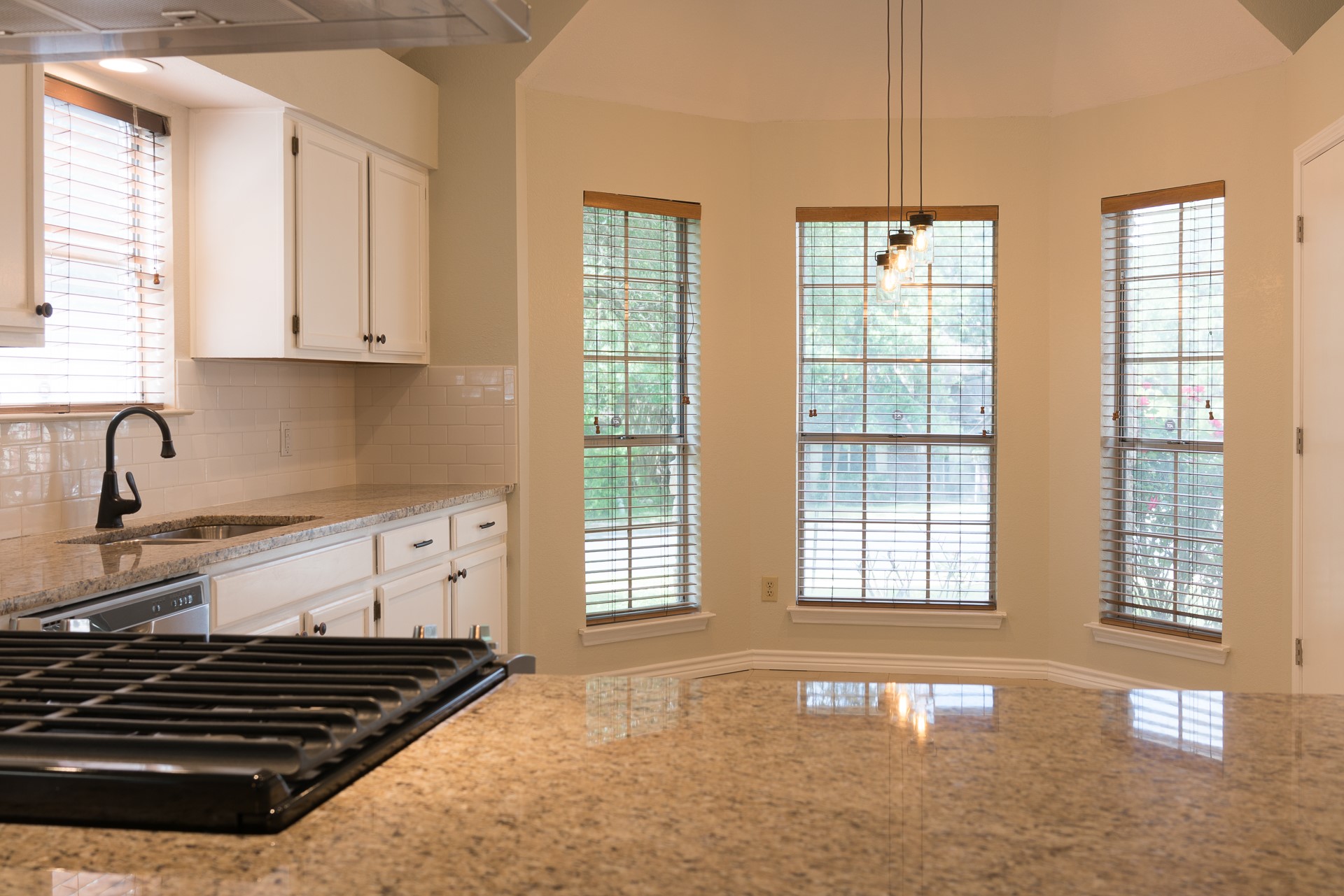 729 Shade Tree Drive Austin, TX 78748 - Photo 6 of 30