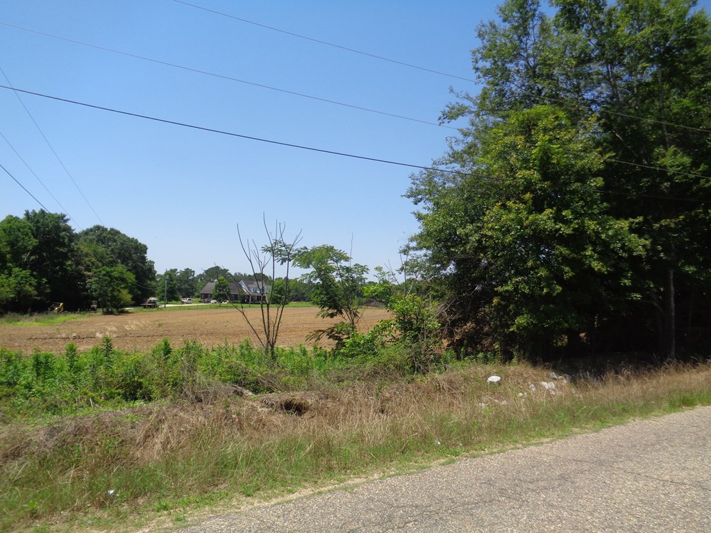 5.7-ac Littlefield Road Dothan, AL 36301 - Photo 5 of 14