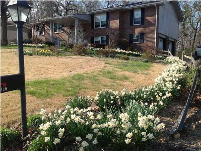 8620 Clearwood Road Chattanooga, TN 37421 - Photo 2 of 22 Additional Photo