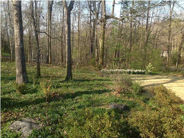 8620 Clearwood Road Chattanooga, TN 37421 - Photo 17 of 22 Additional Photo
