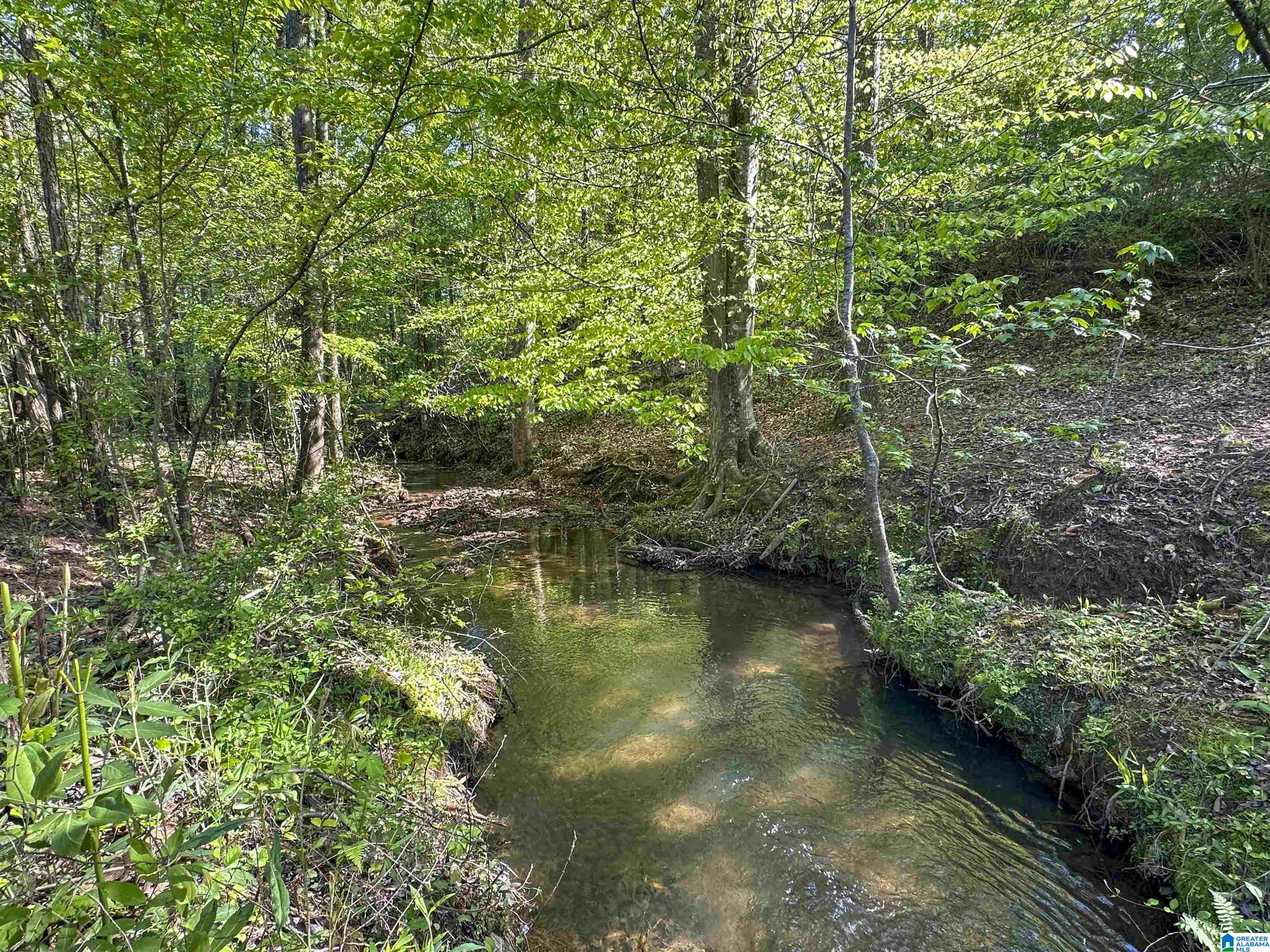 130 Kelly Road Ashland, AL 36251 - Photo 66 of 66