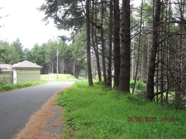 $10,000 | 313 Ridge Road, Shelter Cove, CA 95589