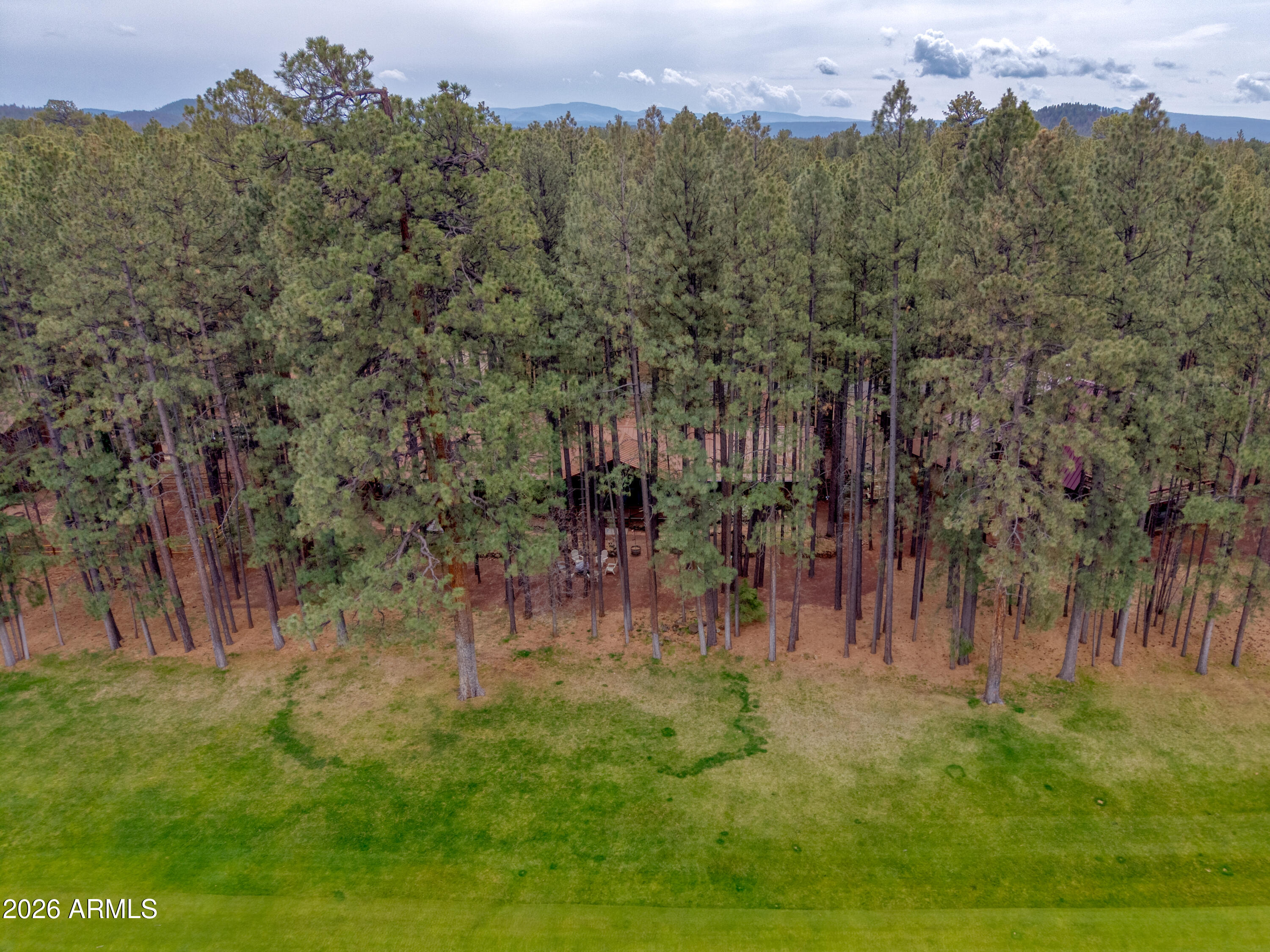 7414 Geronimo Road Pinetop, AZ 85935 - Photo 65 of 67 a view of a yard with a tree