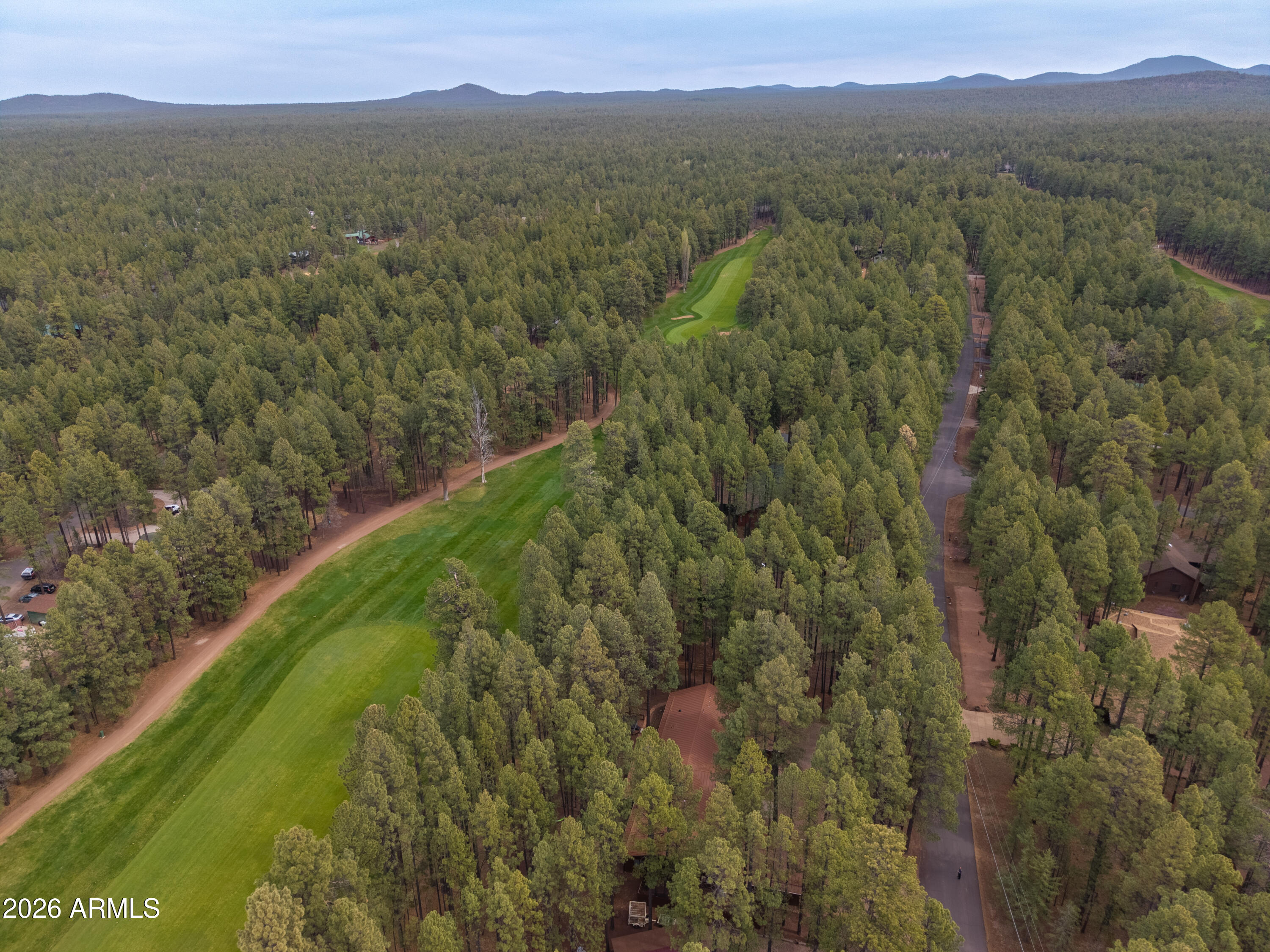 7414 Geronimo Road Pinetop, AZ 85935 - Photo 67 of 67 a view of a lush green forest with trees and some houses