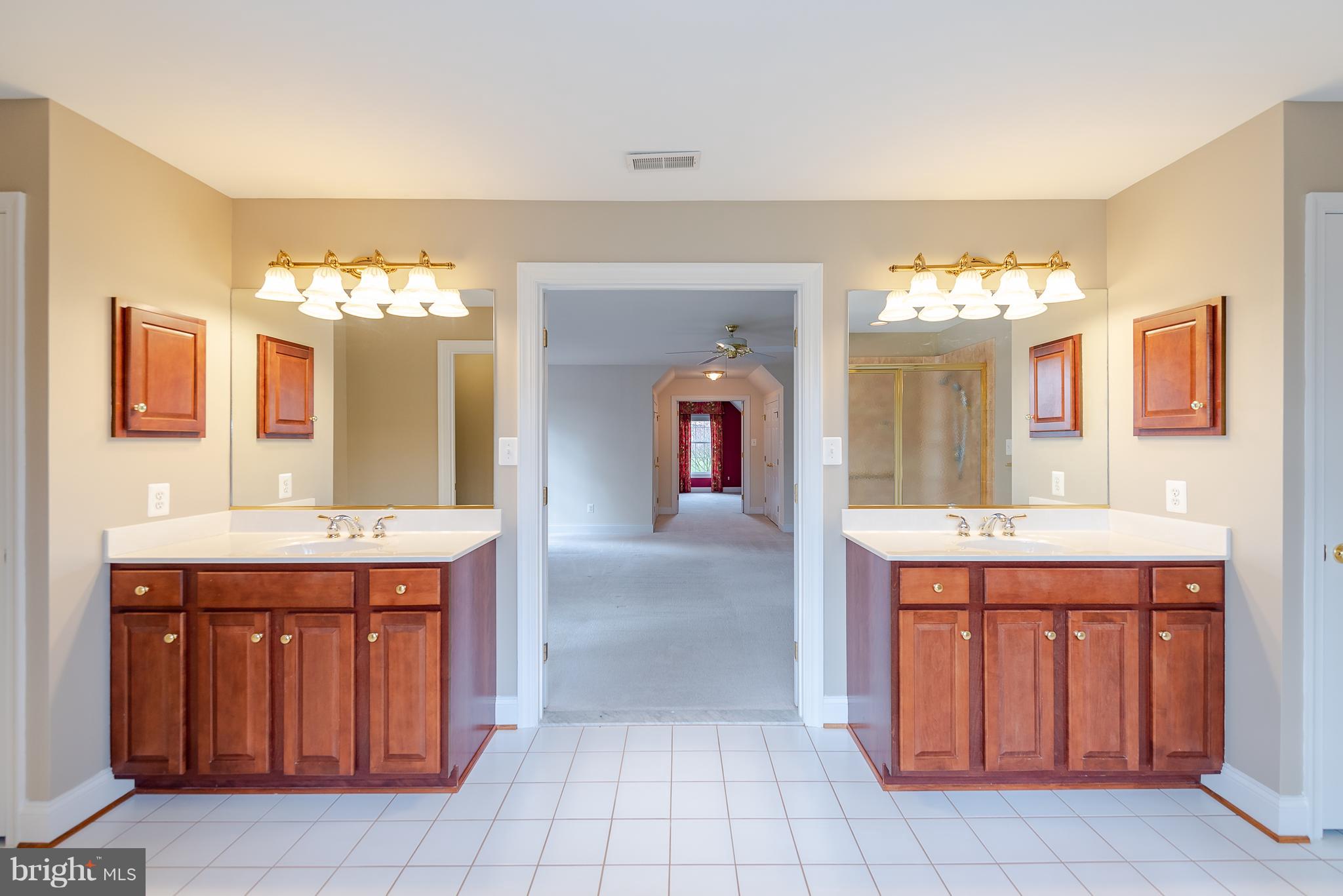 13705 Milbert Ridge Drive Baldwin, MD 21013 - Photo 38 of 64 Master bath