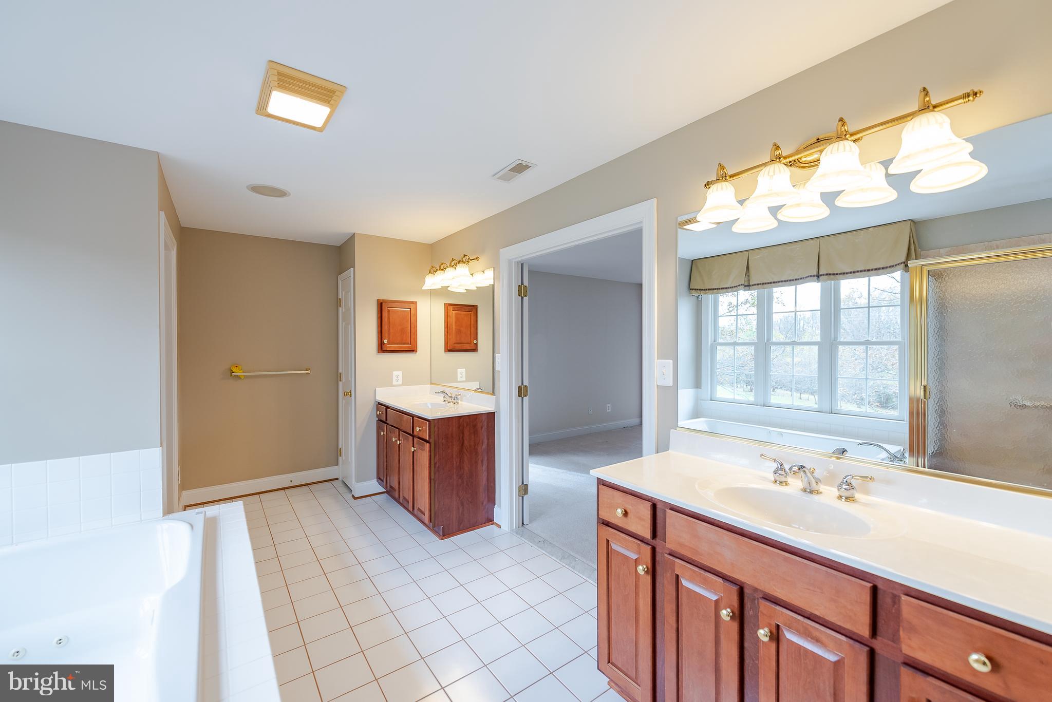 13705 Milbert Ridge Drive Baldwin, MD 21013 - Photo 39 of 64 Master bath