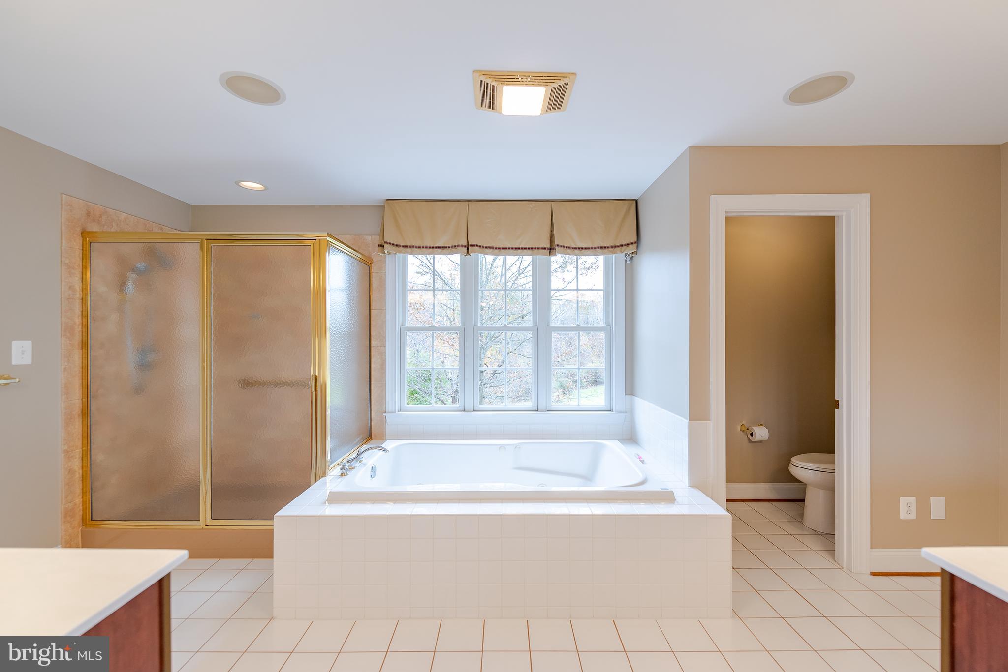 13705 Milbert Ridge Drive Baldwin, MD 21013 - Photo 40 of 64 Master bath