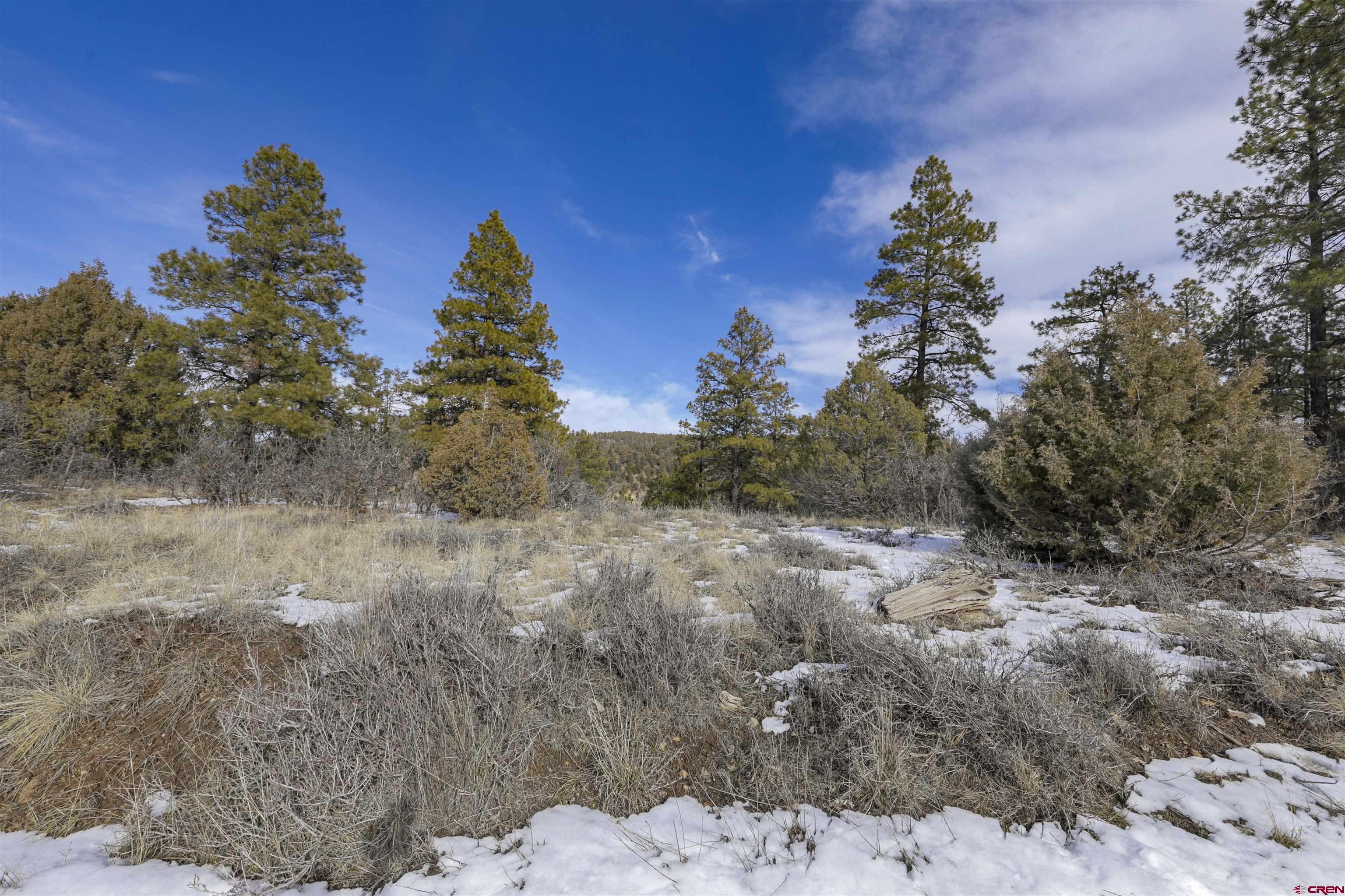 783 Gun Barrel Road Pagosa Springs, CO 81147 - Photo 3 of 28 a view of a yard