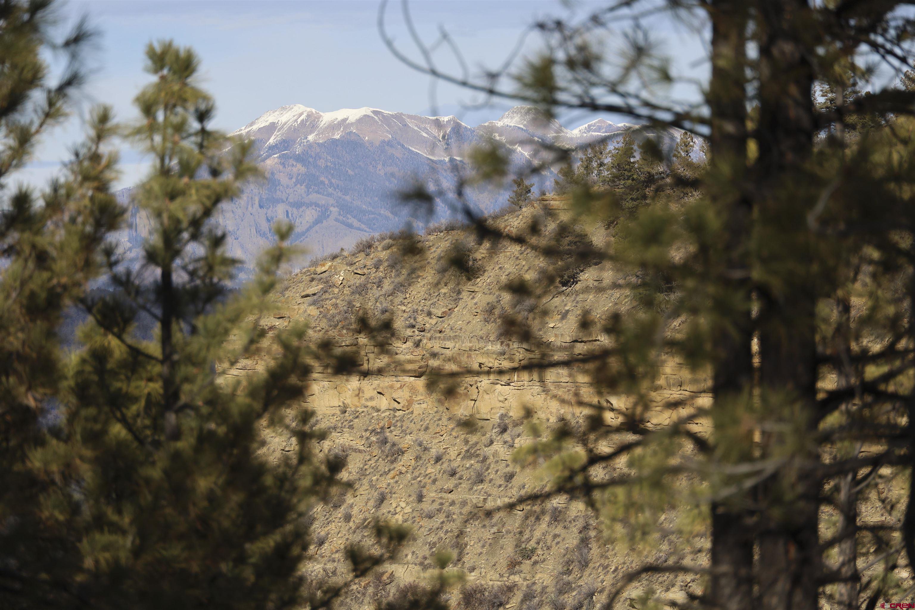 783 Gun Barrel Road Pagosa Springs, CO 81147 - Photo 5 of 28 a view of a tree