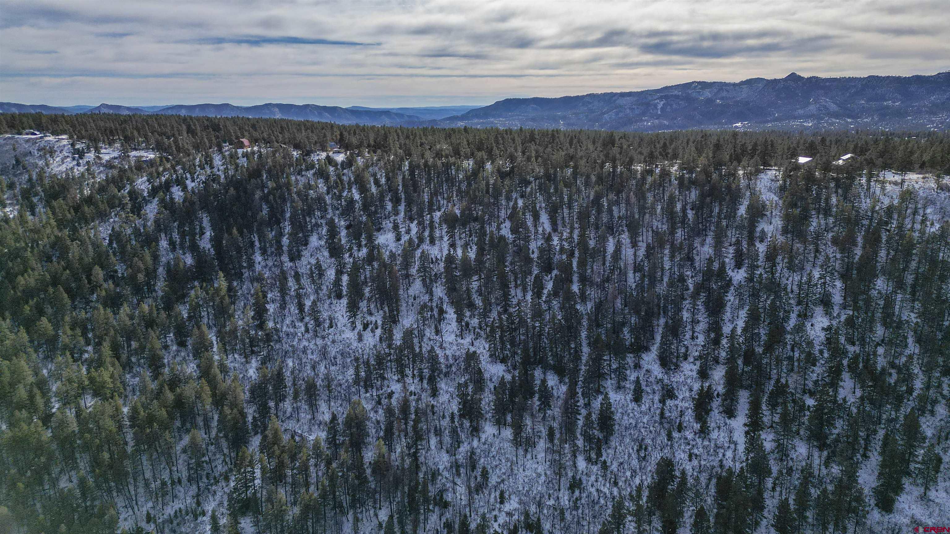 783 Gun Barrel Road Pagosa Springs, CO 81147 - Photo 8 of 28 a view of a backyard