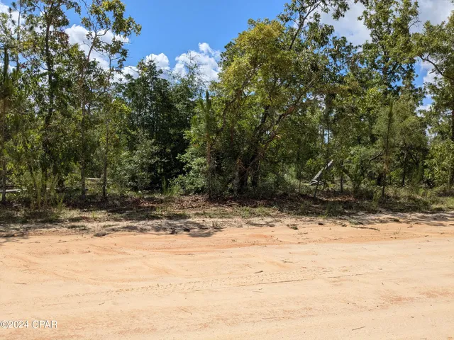 $22,900 | 0 Fredrica Drive, Alford, FL 32420