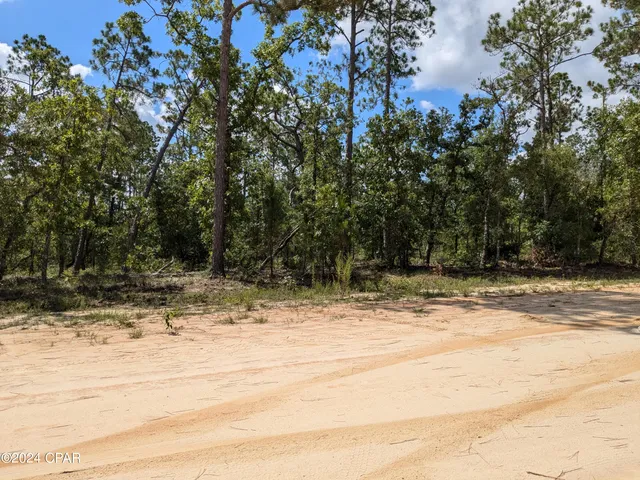 $22,900 | 0 Fredrica Drive, Alford, FL 32420