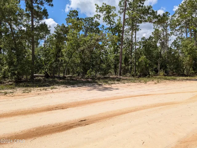 $22,900 | 0 Fredrica Drive, Alford, FL 32420