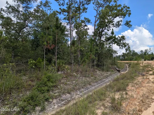 $22,900 | 0 Fredrica Drive, Alford, FL 32420