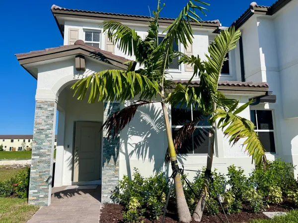a view of a potted plant