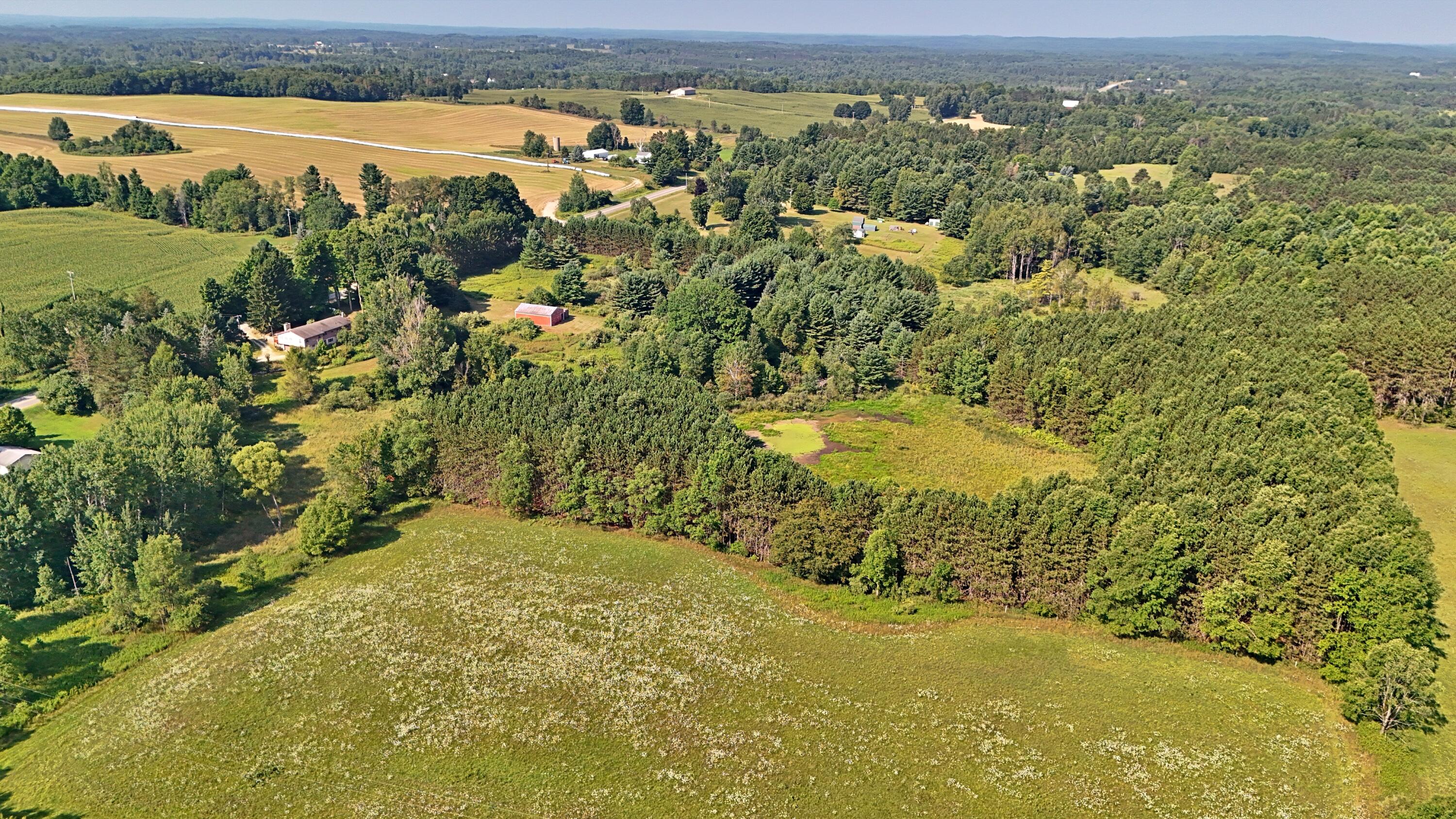 19120 Leroy Road Leroy, MI 49655 - Photo 55 of 63 batch_DJI_20250807104351_0248_D - Copy (