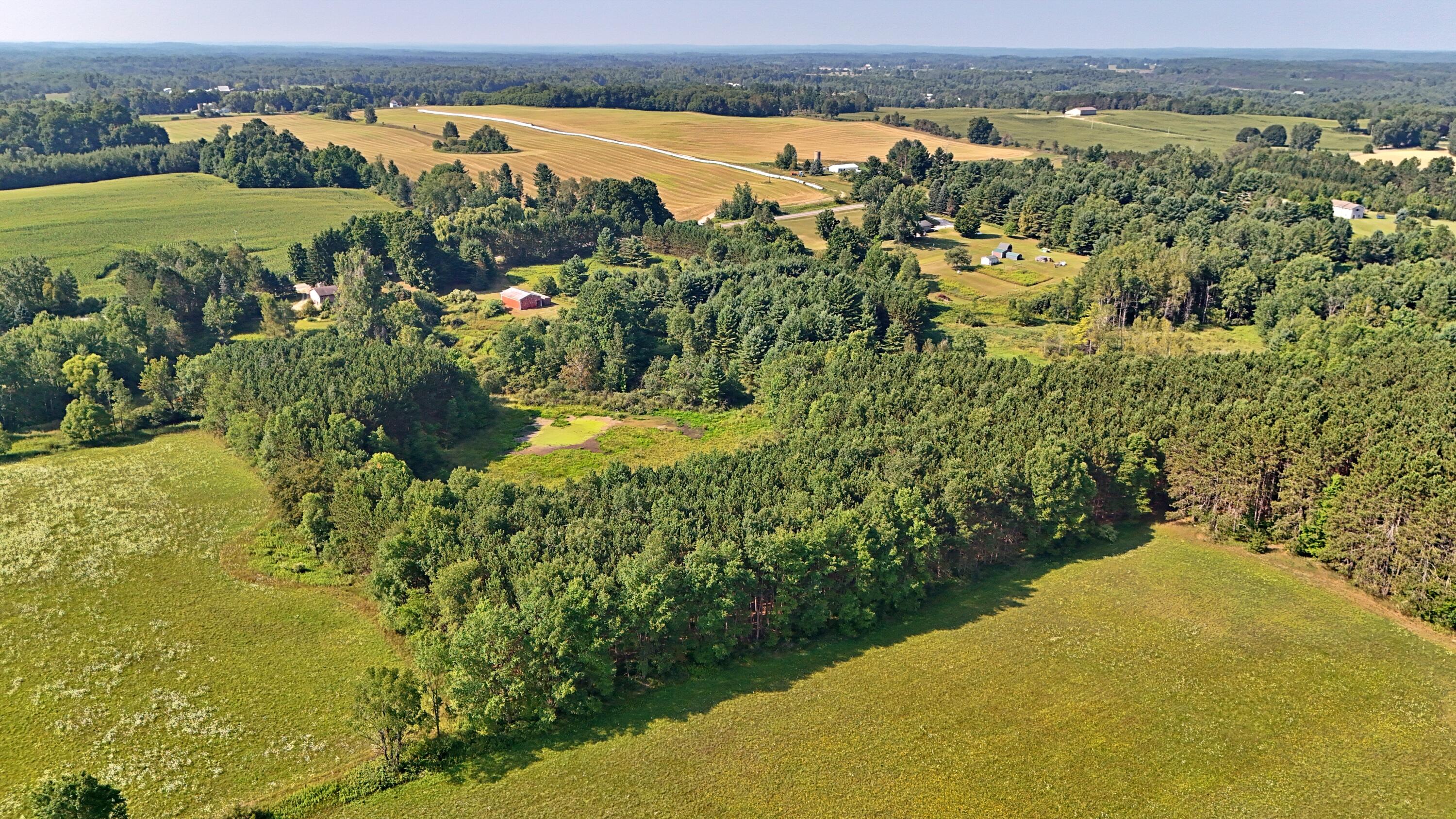 19120 Leroy Road Leroy, MI 49655 - Photo 56 of 63 batch_DJI_20250807104412_0249_D - Copy (