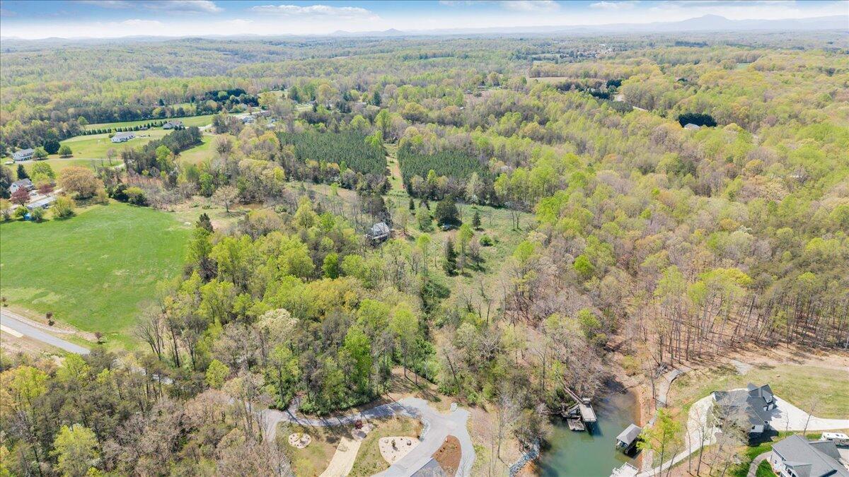 1401 Merriman Way Road Moneta, VA 24121 - Photo 11 of 33 Aerial