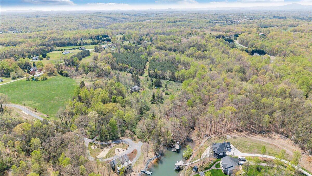 1401 Merriman Way Road Moneta, VA 24121 - Photo 12 of 33 Aerial