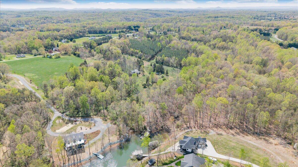 1401 Merriman Way Road Moneta, VA 24121 - Photo 13 of 33 Aerial