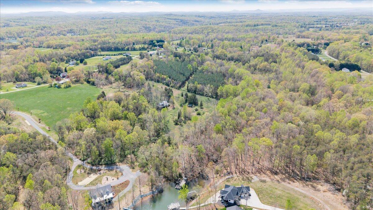 1401 Merriman Way Road Moneta, VA 24121 - Photo 14 of 33 Aerial